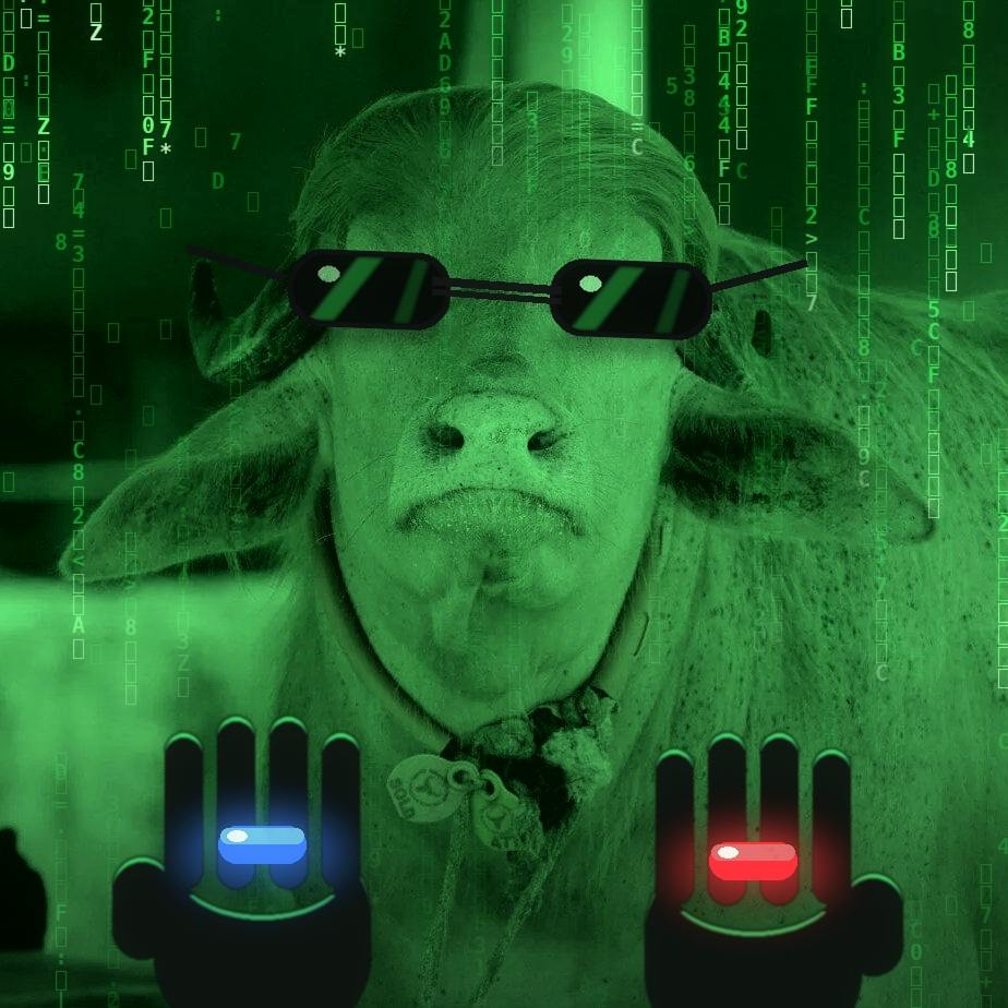 matrix, pill, red, blue, movie, glasses